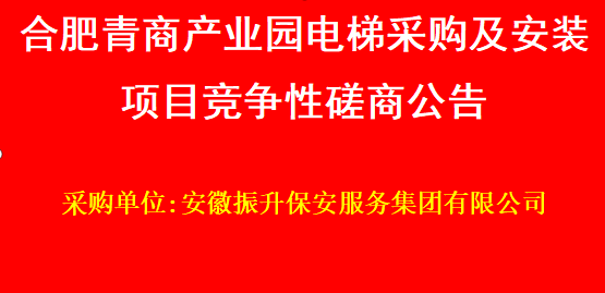 合肥青商产业园电梯采购及安装项目竞争...